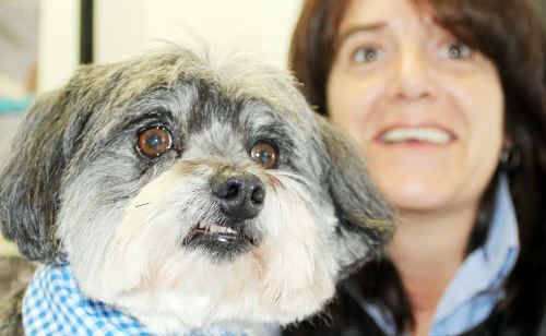 Groomed perfection: Carson shows off his fresh new locks thanks to Fran Griffin, who has 15 years industry experience. Groomed perfection: Carson shows off his fresh new locks thanks to Fran Griffin, who has 15 years industry experience.